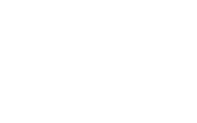 Bash