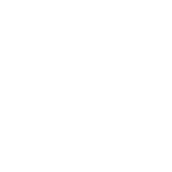 VaultPress